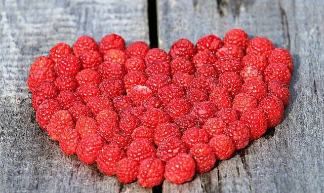 Learn about the 10 best and worst foods for heart health